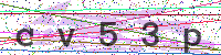 Enter Security Code