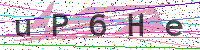 Enter Security Code
