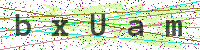 Enter Security Code