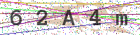 Enter Security Code