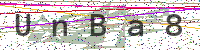 Enter Security Code