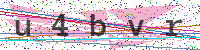 Enter Security Code