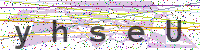 Enter Security Code