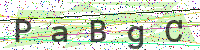 Enter Security Code