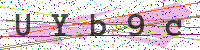 Enter Security Code