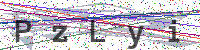 Sicherheitscode eingeben