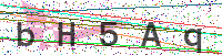 Enter Security Code