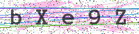 Enter Security Code