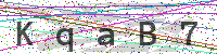 Sicherheitscode eingeben