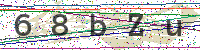 Enter Security Code