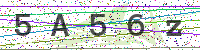 Enter Security Code