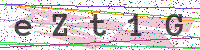Enter Security Code
