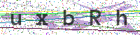 Sicherheitscode eingeben