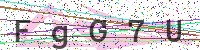 Enter Security Code