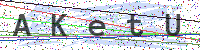 Sicherheitscode eingeben