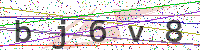 Enter Security Code