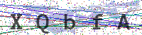 Enter Security Code