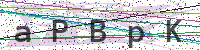 Enter Security Code