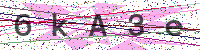 Enter Security Code