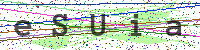 Sicherheitscode eingeben