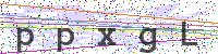 Sicherheitscode eingeben