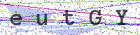 Sicherheitscode eingeben