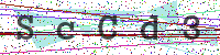 Enter Security Code