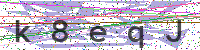 Enter Security Code