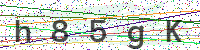 Enter Security Code