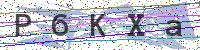 Enter Security Code