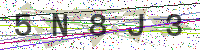 Enter Security Code