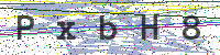 Enter Security Code