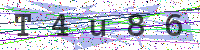 Enter Security Code