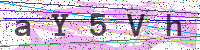 Enter Security Code