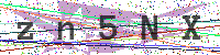 Enter Security Code