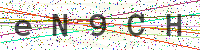 Enter Security Code