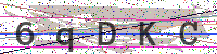 Enter Security Code