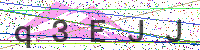 Enter Security Code