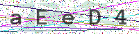 Enter Security Code