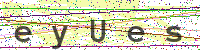 Enter Security Code