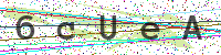 Enter Security Code