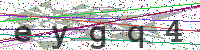 Sicherheitscode eingeben