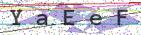 Enter Security Code