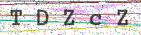 Enter Security Code