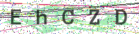 Enter Security Code