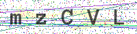 Enter Security Code