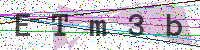 Sicherheitscode eingeben