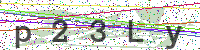 Sicherheitscode eingeben