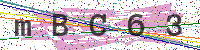 Enter Security Code