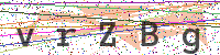 Enter Security Code